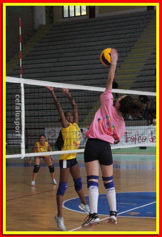 140430 volley 020_tn.jpg